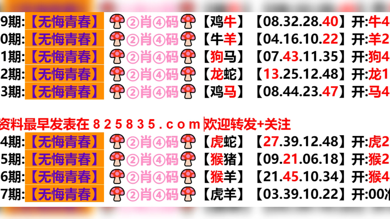 2024年新奥门31期开奖结果,适用计划解析_社交版54.308