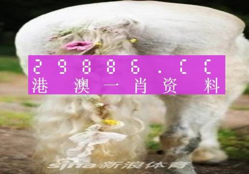 今晚必中一肖一码四不像,准确资料解释落实_suite85.406